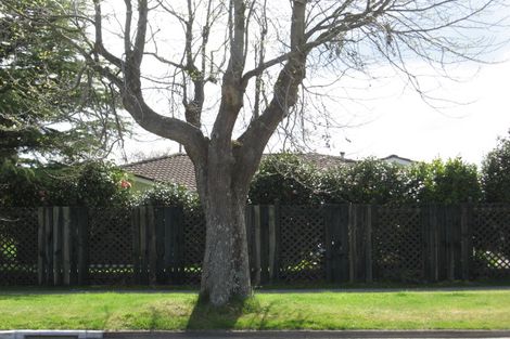 Photo of property in 17 Seddon Street, Glenholme, Rotorua, 3010