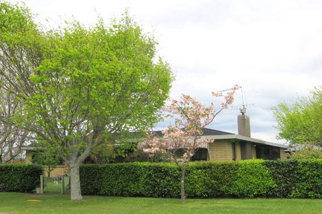 Photo of property in 4 Alexander Street, Katikati, 3129