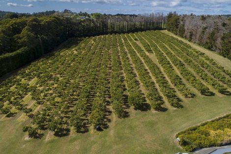 Photo of property in 836 Sandspit Road, Warkworth, 0982