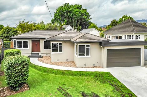 Photo of property in 31 Roosevelt Street, Levin, 5510