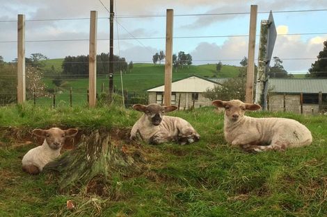 Photo of property in 505 Golden Valley Road, Waihi, 3681