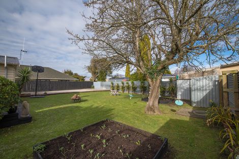 Photo of property in 132 College Street, Awapuni, Palmerston North, 4412