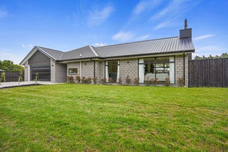 Photo of property in 9 Vaughan Street, Sefton, 7477