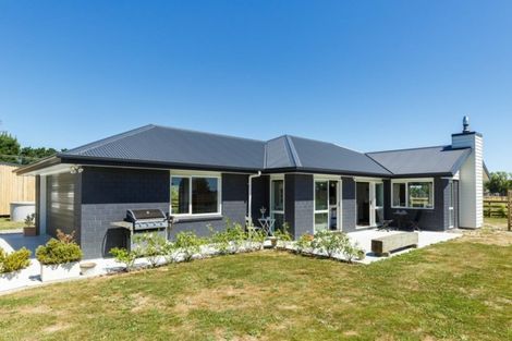 Photo of property in 541 Newbury Line, Bunnythorpe, Palmerston North, 4775