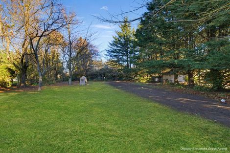 Photo of property in 1 Rupert Street, Waddington, 7500
