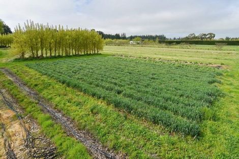 Photo of property in 407 Pesters Road, Eyrewell, Rangiora, 7476