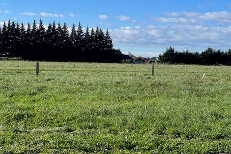 Photo of property in 17 Kakariki Crescent, Carterton, 5713