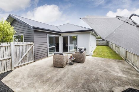 Photo of property in 6 Cardiff Street, Highbury, Palmerston North, 4412