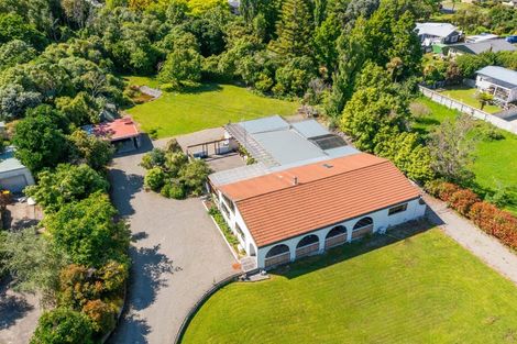 Photo of property in 62 Hinemoa Street, Paraparaumu, 5032