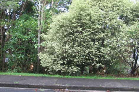 Photo of property in 4 Minnehaha Avenue, Titirangi, Auckland, 0604