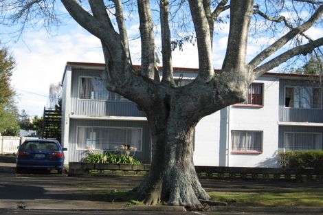 Photo of property in 5a Kitchener Street, Claudelands, Hamilton, 3214