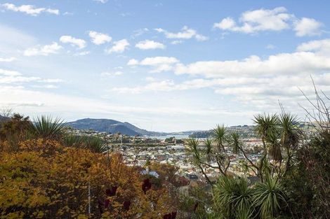 Photo of property in 56 Peter Street, Caversham, Dunedin, 9012