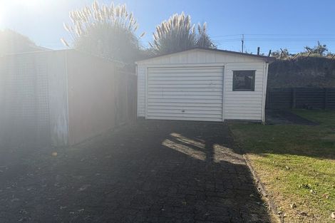 Photo of property in 29 Riley Place, Fitzroy, Hamilton, 3206
