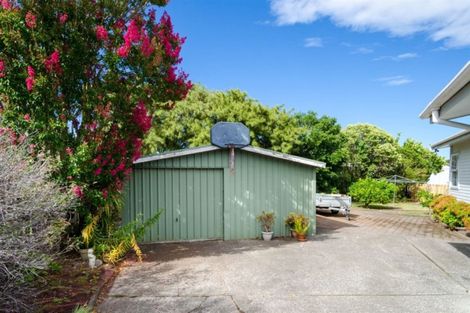 Photo of property in 29 Poinsettia Place, Henderson, Auckland, 0610