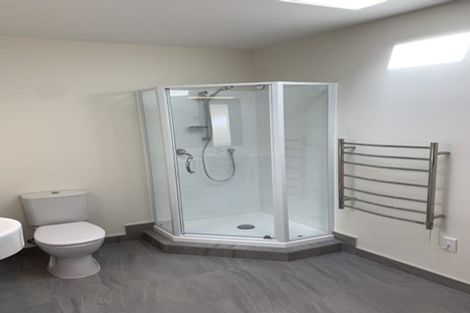 Photo of property in 2 Couldry Street, Eden Terrace, Auckland, 1021