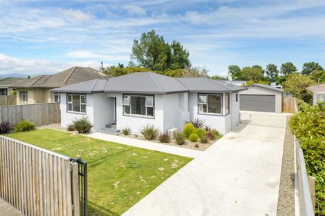 Photo of property in 236 Botanical Road, Takaro, Palmerston North, 4412