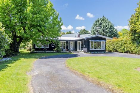 Photo of property in 61c Macarthur Street, Levin, 5510