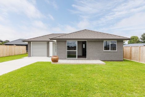 Photo of property in 35 Oldfield Lane, Marton, 4710