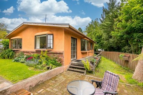 Photo of property in 33 Tannadice Street, Normanby, Dunedin, 9010