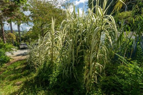 Photo of property in 189 Waikino Road, Karetu, Kawakawa, 0283