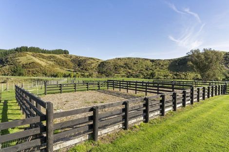 Photo of property in 180 North Manakau Road, Manakau, Levin, 5573