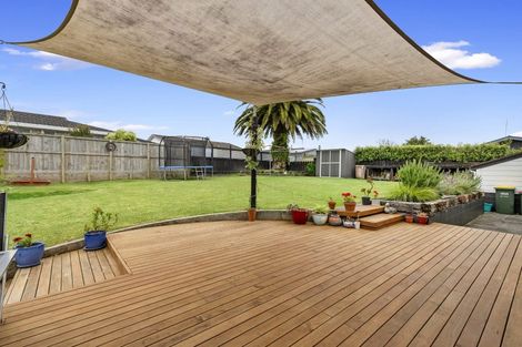 Photo of property in 20 Irene Crescent, Dinsdale, Hamilton, 3204