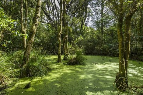 Photo of property in 180 Moonshine Valley Road, Aokautere, 4471