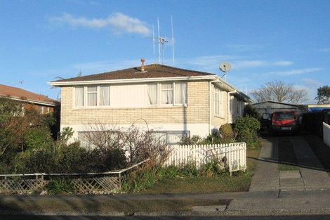 Photo of property in 17 Mcintosh Street, Chartwell, Hamilton, 3210