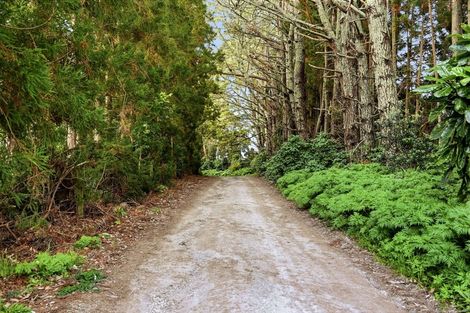 Photo of property in 497a Tara Road, Mangawhai, 0573