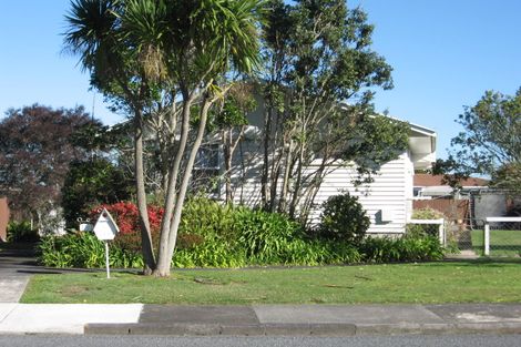 Photo of property in 19 Winiata Terrace, Papakura, 2110