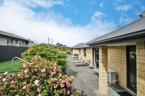 Photo of property in 119 Edinburgh Crescent, Waikiwi, Invercargill, 9810