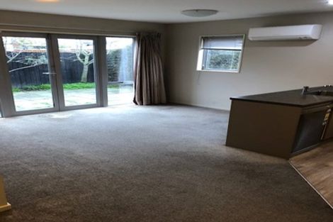 Photo of property in 145 Purchas Street, Edgeware, Christchurch, 8013