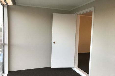 Photo of property in 67 Webster Avenue, Mount Roskill, Auckland, 1041