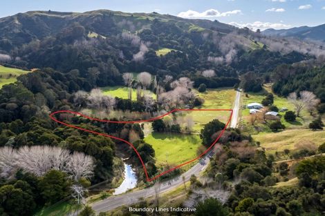 Photo of property in 427 Tinui Valley Road, Tinui Valley, Tinui, 5894