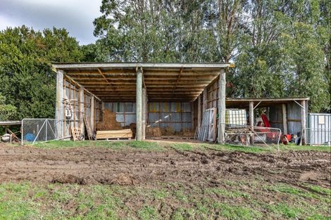 Photo of property in 148 Wallace Loop Road, Koputaroa, Levin, 5571