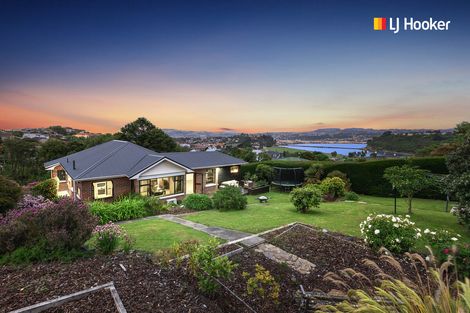 Photo of property in 43 Sunbury Street, Andersons Bay, Dunedin, 9013