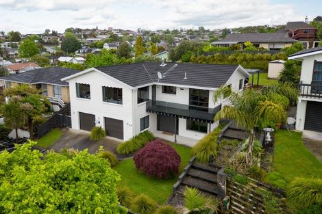 Photo of property in 17 Maple Avenue, Dinsdale, Hamilton, 3204