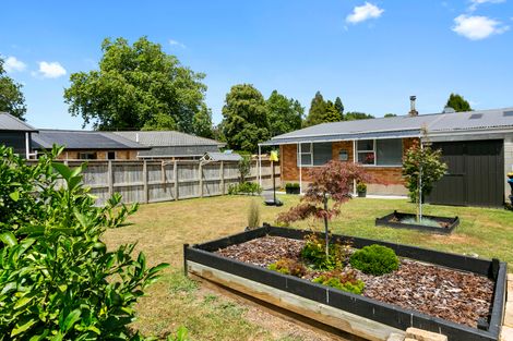 Photo of property in 77b Campbell Street, Leamington, Cambridge, 3432