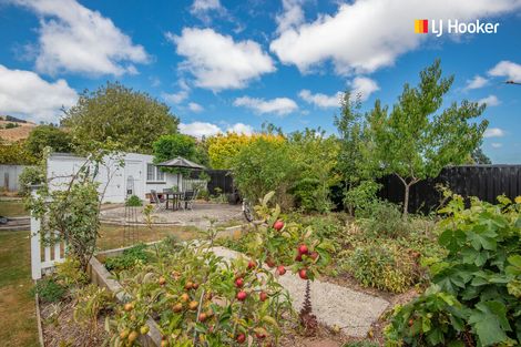 Photo of property in 58 Riccarton Road East, East Taieri, Mosgiel, 9024