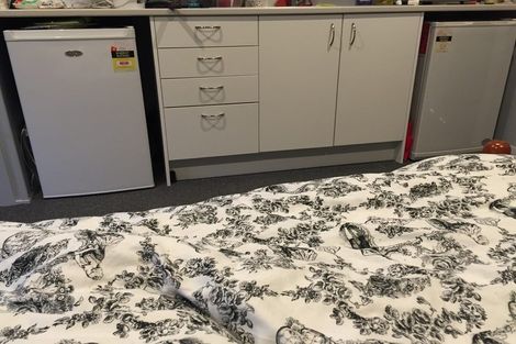 Photo of property in 36 Park Street, North Dunedin, Dunedin, 9016