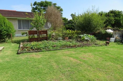 Photo of property in 307 Banks Street, Thames, 3500