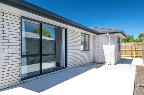 Photo of property in 42c Beaver Road, Blenheim, 7201