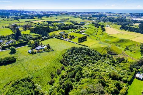 Photo of property in 203 Henwood Road, Westgate, 0814