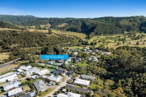 Photo of property in 117 Te Tutu Street, Whangamata, 3691