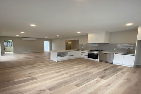 Photo of property in 24e Poinsettia Place, Henderson, Auckland, 0610