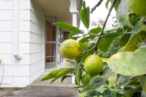 Photo of property in 44 Dewe Avenue, Feilding, 4702