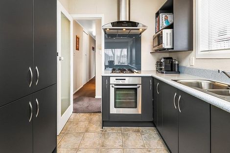 Photo of property in 12 Thomson Avenue, Dinsdale, Hamilton, 3204