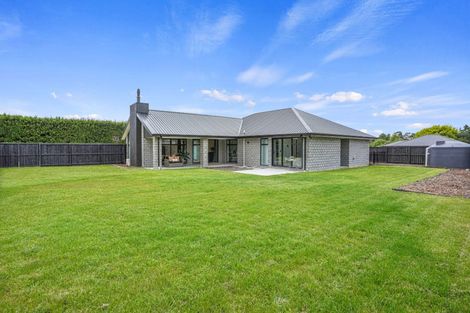 Photo of property in 9 Vaughan Street, Sefton, 7477