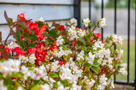 Photo of property in 1b Tomin Road, Glenview, Hamilton, 3206