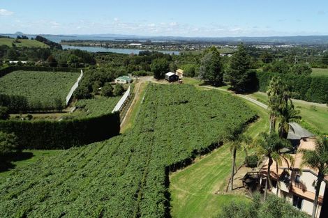 Photo of property in 6 Woodland Road, Johnsonville, Wellington, 6037